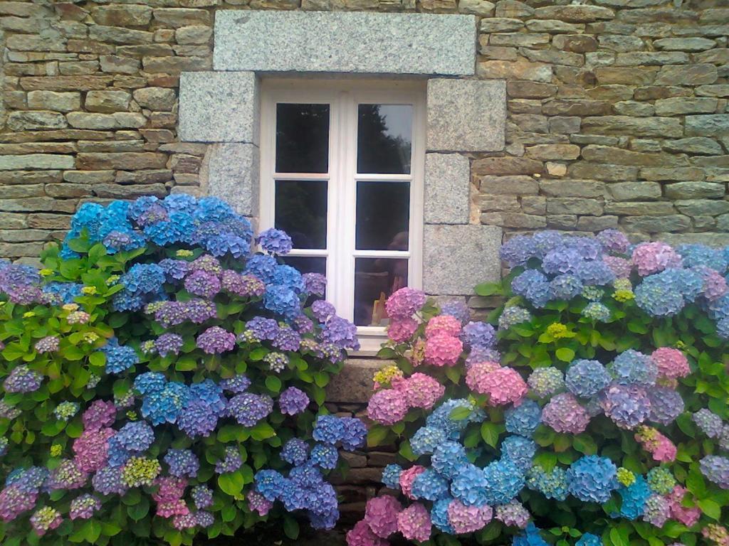 Bed and Breakfast Le Petit Kerangoi Pont-Aven Exterior foto